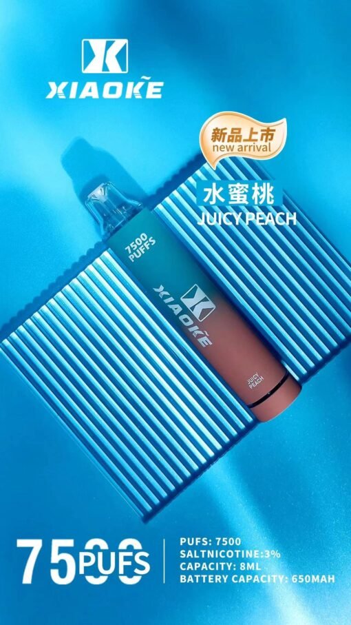 XIAOKE 7500 PUFFS 梟客棄式抛電子煙 一次性霧化桿：圖片 12
