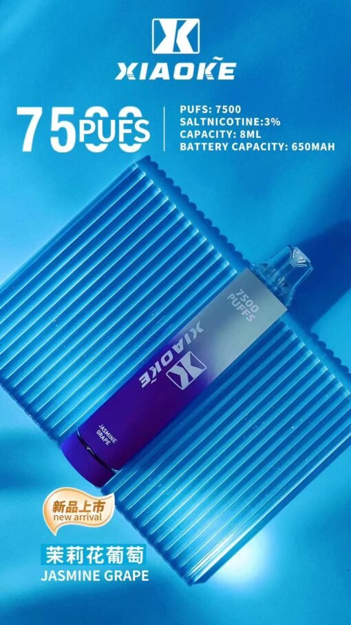 XIAOKE 7500 PUFFS 梟客棄式抛電子煙 一次性霧化桿：圖片 15