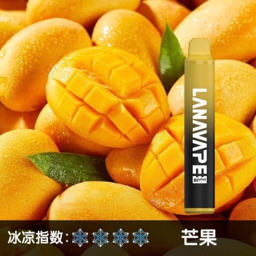 LANA 8000 PUFFS 拋棄式一次性電子煙 台灣電子煙推薦：圖片 17