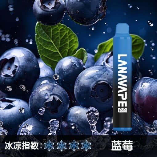 LANA 8000 PUFFS 拋棄式一次性電子煙 台灣電子煙推薦：圖片 12