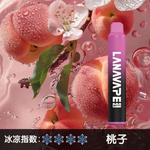 LANA 8000 PUFFS 拋棄式一次性電子煙 台灣電子煙推薦：圖片 7
