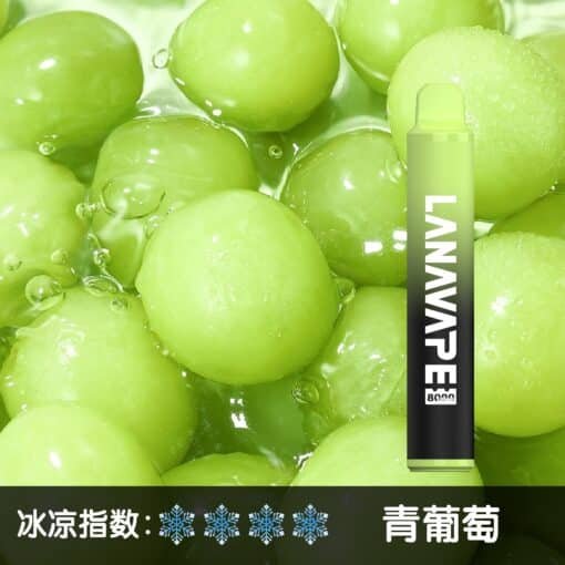 LANA 8000 PUFFS 拋棄式一次性電子煙 台灣電子煙推薦：圖片 4