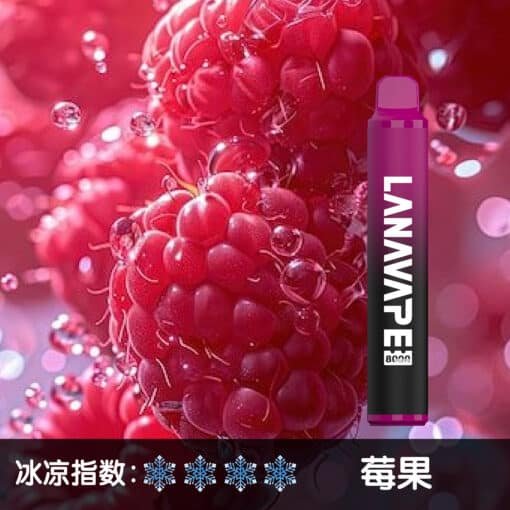LANA 8000 PUFFS 拋棄式一次性電子煙 台灣電子煙推薦：圖片 20