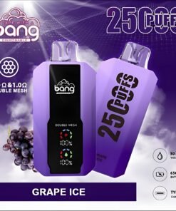 Bang 25000 Puffs拋棄式電子煙 超大屏幕 超大容量 可充電